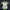 Modetrail Star Wars 442nd Siege Battalion Clone Trooper Tracksuit Costume Hoodie Sweatshirt T-Shirt Sweatpants, S-5XL US Size