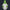 Modetrail Star Wars 442nd Siege Battalion Clone Trooper Hoodie Costume, S-5XL US Size, Gift For Him