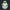 Modetrail Star Wars 442nd Siege Battalion Clone Trooper Tracksuit Costume Hoodie Sweatshirt T-Shirt Sweatpants, S-5XL US Size