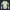 Modetrail Star Wars 442nd Siege Battalion Clone Trooper Long Sleeves Costume, S-5XL US Size, Gift For Him
