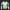 Modetrail Star Wars 442nd Siege Battalion Clone Trooper Tracksuit Costume Hoodie Sweatshirt T-Shirt Sweatpants, S-5XL US Size