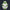 Modetrail Star Wars 442nd Siege Battalion Clone Trooper Tracksuit Costume Hoodie Sweatshirt T-Shirt Sweatpants, S-5XL US Size