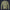 Modetrail American Frog Skin Jungle Camo Tracksuit Costume Hoodie Sweatshirt T-Shirt Sweatpants, Military Costume S-5XL US Size