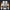 Modetrail Commander Cody Armor Long Sleeves Costume, Star Wars Costume S-5XL US Size, Gift For Him