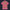 Modetrail Elvis Presley Alpine Pink Hawaiian Shirt Costume, S-5XL US Size, Unisex Button Down Shirt