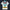 Modetrail Elvis Presley Phoenix Turquoise Hawaiian Flower Necklace Hawaiian Shirt Costume, Elvis Presley Costume S-5XL US Size, Unisex Button Down Shirt
