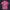 Elvis Pink Aloha Hawaiian Shirt Costume, S-5XL US Size, Unisex Button Down Shirt