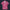 Elvis Pink Aloha Hawaiian Shirt Costume, S-5XL US Size, Unisex Button Down Shirt