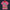Modetrail Elvis Presley Tiger Pink Hawaiian Flower Necklace Hawaiian Shirt Costume, Elvis Presley Costume S-5XL US Size, Unisex Button Down Shirt