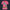 Modetrail Elvis Presley Tiger Pink Hawaiian Flower Necklace T-shirt Costume, Elvis Presley Costume S-5XL US Size, Gift For Him
