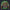 Modetrail Hylian Set Green Champion_s Tunic Tracksuit Costume Hoodie Sweatshirt T-Shirt Sweatpants, The Legend of Zelda Costume S-5XL US Size