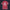 Modetrail Hylian Set Pink Champion_s Tunic Hawaiian Shirt Costume, The Legend of Zelda Costume S-5XL US Size, Unisex Button Down Shirt