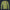 Modetrail James T. Kirk Starfleet Dress Uniform Tracksuit Costume Hoodie Sweatshirt T-Shirt Sweatpants, Star Trek Costume S-5XL US Size