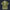 Modetrail Link Breath of the Wild Champion Tunic Green Tracksuit Costume Hoodie Sweatshirt T-Shirt Sweatpants, The Legend of Zelda Costume S-5XL US Size