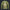 Modetrail Link Breath of the Wild Champion Tunic Green Long Sleeves Costume, The Legend of Zelda Costume S-5XL US Size, Gift For Him