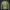 Modetrail Link Breath of the Wild Champion Tunic Green Tracksuit Costume Hoodie Sweatshirt T-Shirt Sweatpants, The Legend of Zelda Costume S-5XL US Size