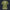 Modetrail Link Breath of the Wild Champion Tunic Green Tracksuit Costume Hoodie Sweatshirt T-Shirt Sweatpants, The Legend of Zelda Costume S-5XL US Size