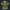 Modetrail Link Breath of the Wild Champion Tunic Green Version 2 Tracksuit Costume Hoodie Sweatshirt T-Shirt Sweatpants, The Legend of Zelda Costume S-5XL US Size