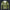 Modetrail Link Breath of the Wild Champion Tunic Green Version 2 Tracksuit Costume Hoodie Sweatshirt T-Shirt Sweatpants, The Legend of Zelda Costume S-5XL US Size