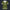 Modetrail Link Breath of the Wild Champion Tunic Green Version 2 Tracksuit Costume Hoodie Sweatshirt T-Shirt Sweatpants, The Legend of Zelda Costume S-5XL US Size