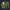 Modetrail Link Breath of the Wild Champion Tunic Green Version 2 Tracksuit Costume Hoodie Sweatshirt T-Shirt Sweatpants, The Legend of Zelda Costume S-5XL US Size