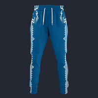 Modetrail Link Breath of the Wild Champion Tunic Version 2 Sweatpants Costume, The Legend of Zelda Costume S-5XL US Size, Gift For Him