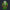 Modetrail Link Zelda Iconic Hylian Shield Tracksuit Costume Hoodie Sweatshirt T-Shirt Sweatpants, The Legend of Zelda Costume S-5XL US Size