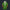 Modetrail Link Zelda Iconic Plain Version Version Tracksuit Costume Hoodie Sweatshirt T-Shirt Sweatpants, The Legend of Zelda Costume S-5XL US Size