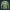 Modetrail Russian KLMK Sunray Serebryanyi CAMO Long Sleeves Costume, Military Costume S-5XL US Size, Gift For Him