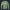 Modetrail Russian KLMK Sunray Serebryanyi CAMO Sweater Costume, Military Costume S-5XL US Size, Gift For Him