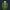 Modetrail Tingle Attire Zip Hoodie Costume, The Legend of Zelda Costume S-5XL US Size, Gift For Him