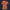 Modetrail Tommy Vercetti Floral Red Tracksuit Costume Hoodie Sweatshirt T-Shirt Sweatpants, GTA Costume S-5XL US Size