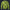 Modetrail Tommy Vercetti Palm Tree Yellow Tracksuit Costume Hoodie Sweatshirt T-Shirt Sweatpants, GTA Costume S-5XL US Size