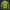 Modetrail Tommy Vercetti Yellow Blue Long Sleeves Costume, GTA Costume S-5XL US Size, Gift For Him