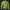 Modetrail Tommy Vercetti Yellow Blue Tracksuit Costume Hoodie Sweatshirt T-Shirt Sweatpants, GTA Costume S-5XL US Size
